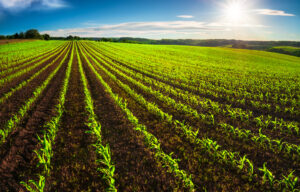 Agriculture