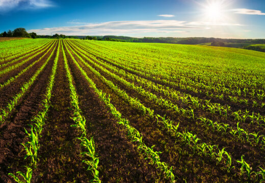 Agriculture